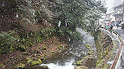 dsc00179_thumb.jpg