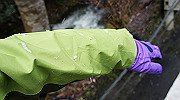 dsc00180_thumb.jpg