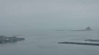 dsc00039_thumb.jpg