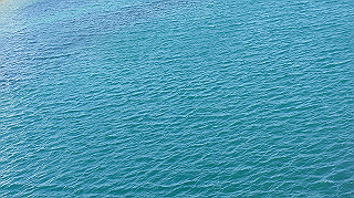 dsc00004_thumb.jpg