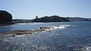 dsc00051_thumb.jpg