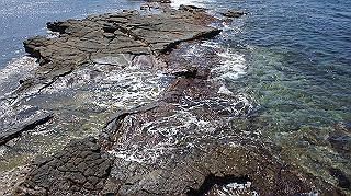 dsc00053_thumb.jpg