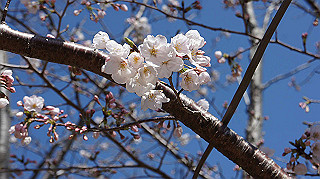 dsc00061_thumb.jpg