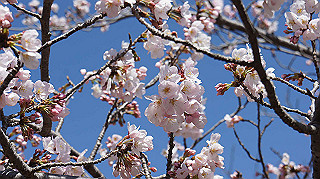 dsc00064_thumb.jpg