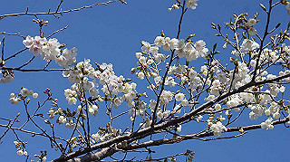 dsc00065_thumb.jpg