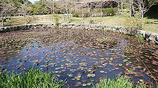 dsc00066_thumb.jpg