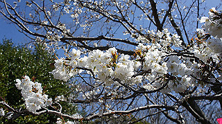 dsc00067_thumb.jpg