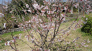 dsc00072_thumb.jpg