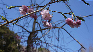 dsc00074_thumb.jpg