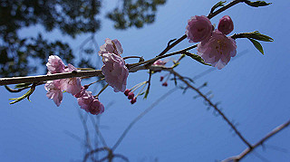 dsc00075_thumb.jpg