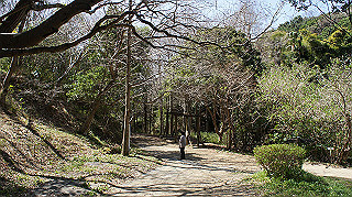 dsc00076_thumb.jpg