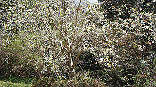 dsc00079_thumb.jpg