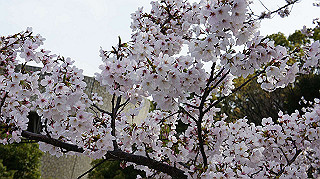 dsc00008_thumb.jpg