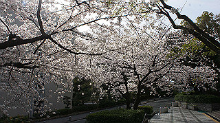 dsc00012_thumb.jpg