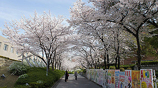 dsc00013_thumb.jpg