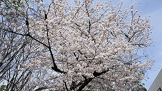 dsc00016_thumb.jpg
