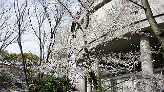dsc00017_thumb.jpg