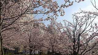 dsc_0207_thumb.jpg