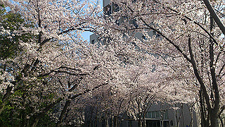 dsc_0208_thumb.jpg