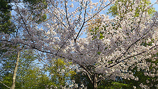 dsc_0211_thumb.jpg