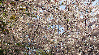 dsc_0212_thumb.jpg