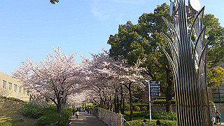 dsc_0213_thumb.jpg