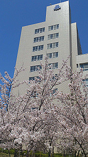 dsc_0214_thumb.jpg