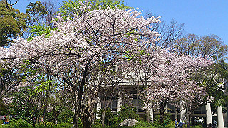 dsc_0218_thumb.jpg