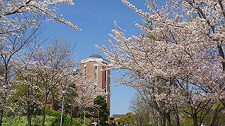 dsc_0228_thumb.jpg