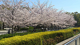 dsc_0229_thumb.jpg
