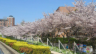 dsc_0232_thumb.jpg