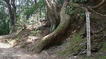 dsc00058_thumb.jpg