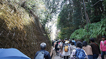 dsc00059_thumb.jpg