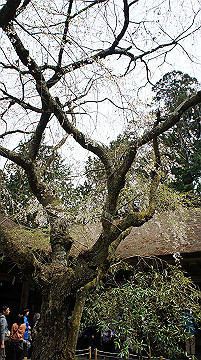 dsc00093_thumb.jpg
