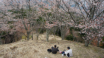 dsc00112_thumb.jpg