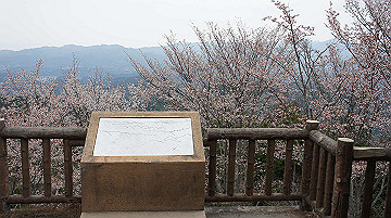dsc00116_thumb.jpg