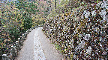 dsc00119_thumb.jpg