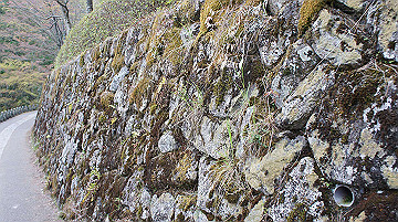 dsc00120_thumb.jpg