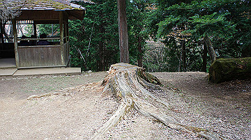 dsc00144_thumb.jpg