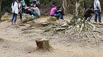 dsc00157_thumb.jpg