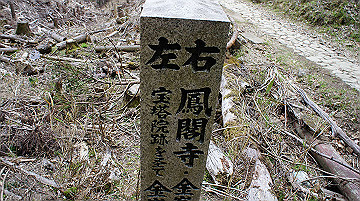 dsc00164_thumb.jpg