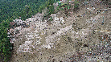 dsc00167_thumb.jpg