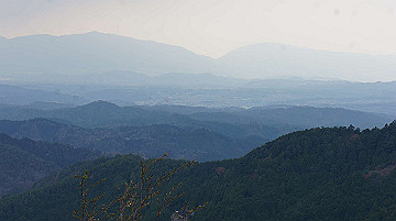 dsc00172_thumb.jpg