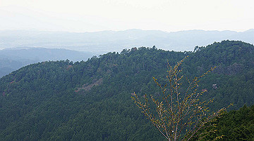 dsc00173_thumb.jpg