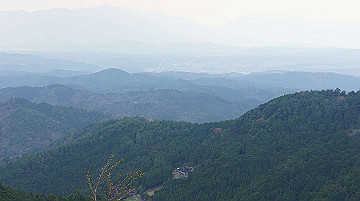 dsc00174_thumb.jpg