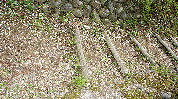 dsc00183_thumb.jpg