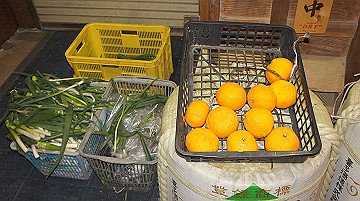 dsc00213_thumb.jpg