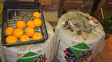 dsc00214_thumb.jpg