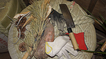 dsc00215_thumb.jpg