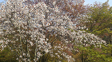 dsc_0269_thumb.jpg